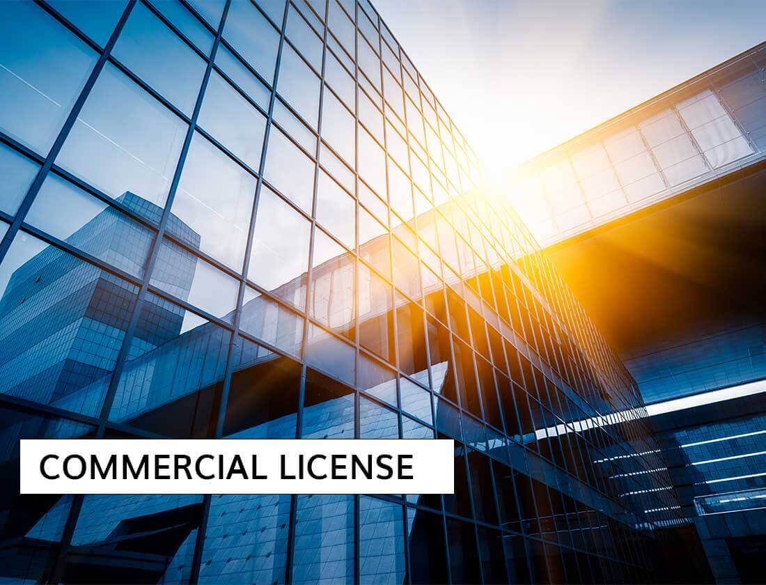 Dubai Business License