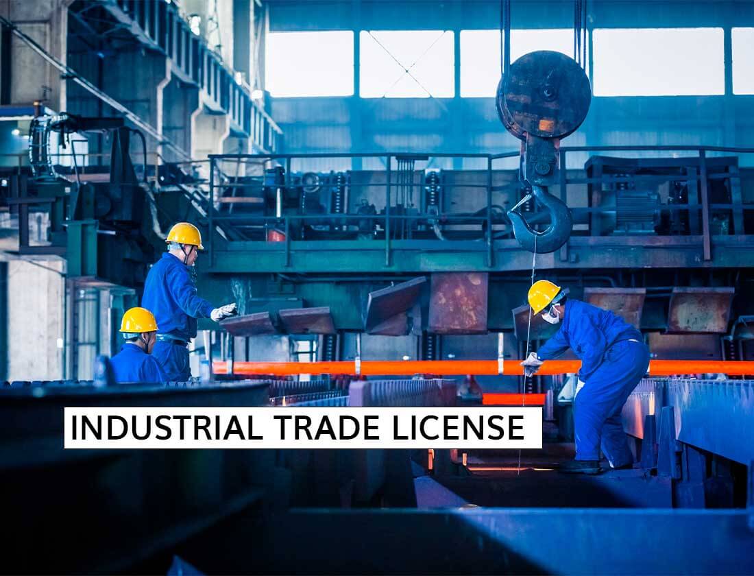 Dubai Business License